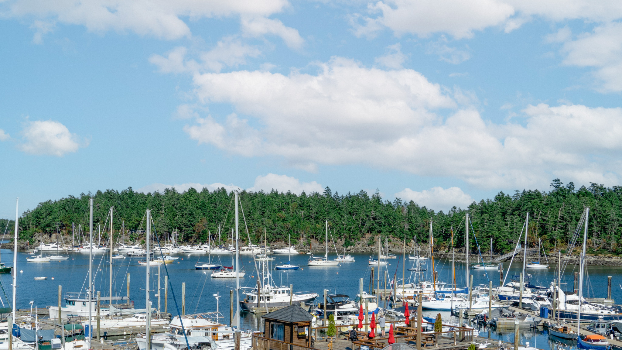Boat Sailing – activities banner